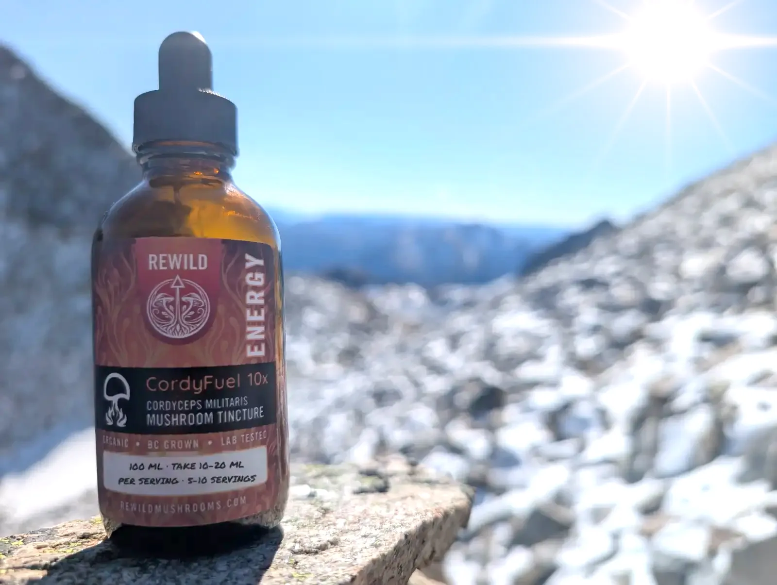 REWILD Energy CordyFuel™ tincture bottle on a rock above snowy mountain peaks