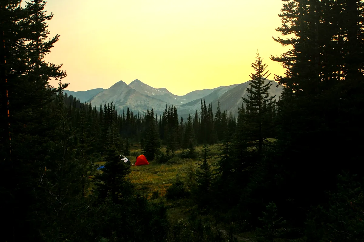 Golden evening light over a mountain meadow and conifer forest in western Canada