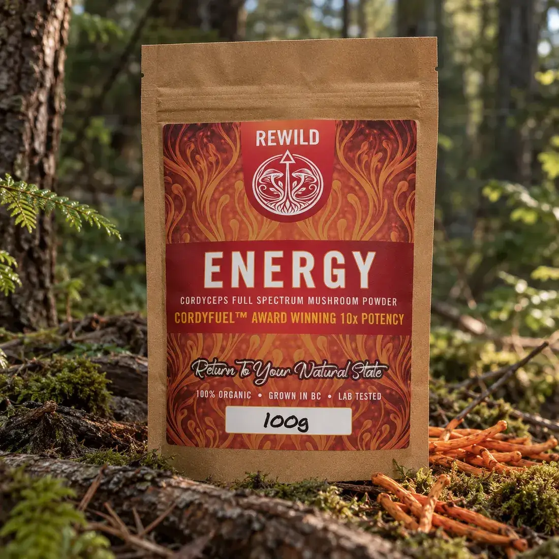 REWILD Energy CordyFuel™ Cordyceps militaris powder pouch on the forest floor